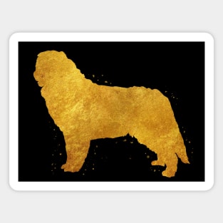 Bernese Mountain golden art Magnet